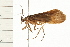  ( - 08MBCAD-0069)  @14 [ ] CreativeCommons - Attribution (2008) Unspecified Centre for Biodiversity Genomics
