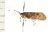  ( - 08MBCAD-0070)  @14 [ ] CreativeCommons - Attribution (2008) Unspecified Centre for Biodiversity Genomics