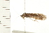  ( - 08MBCAD-0202)  @13 [ ] CreativeCommons - Attribution (2008) Unspecified Centre for Biodiversity Genomics