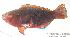  ( - MBIO1232.4)  @15 [ ] Unspecified (default): All Rights Reserved  Unspecified Unspecified