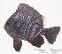  ( - MBIO1262.4)  @13 [ ] Unspecified (default): All Rights Reserved  Unspecified Unspecified