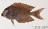 ( - MBIO140.4)  @13 [ ] Unspecified (default): All Rights Reserved  Unspecified Unspecified