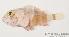  ( - MBIO1539.4)  @11 [ ] Unspecified (default): All Rights Reserved  Unspecified Unspecified