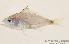  ( - MBIO1622.4)  @13 [ ] Unspecified (default): All Rights Reserved  Unspecified Unspecified