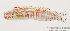  ( - MBIO1668.4)  @14 [ ] Unspecified (default): All Rights Reserved  Unspecified Unspecified