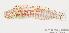  ( - MBIO1668.4)  @14 [ ] Unspecified (default): All Rights Reserved  Unspecified Unspecified