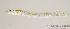  ( - MBIO1740.4)  @12 [ ] Unspecified (default): All Rights Reserved  Unspecified Unspecified