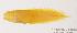  (Diancistrus katrineae - MBIO192.4)  @13 [ ] Unspecified (default): All Rights Reserved  Unspecified Unspecified