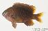  ( - MBIO300.4)  @12 [ ] Unspecified (default): All Rights Reserved  Unspecified Unspecified