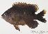  ( - MBIO336.4)  @14 [ ] Unspecified (default): All Rights Reserved  Unspecified Unspecified