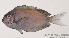  ( - MBIO33.4)  @12 [ ] Unspecified (default): All Rights Reserved  Unspecified Unspecified