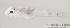 (Cabillus - MBIO410.4)  @13 [ ] Unspecified (default): All Rights Reserved  Unspecified Unspecified