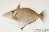  ( - MBIO651.4)  @11 [ ] Unspecified (default): All Rights Reserved  Unspecified Unspecified