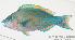  ( - MBIO890.4)  @12 [ ] Unspecified (default): All Rights Reserved  Unspecified Unspecified