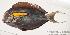  ( - MBIO920.4)  @12 [ ] Unspecified (default): All Rights Reserved  Unspecified Unspecified