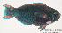  ( - MBIO921.4)  @11 [ ] Unspecified (default): All Rights Reserved  Unspecified Unspecified