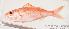 ( - MBIO1864.4)  @13 [ ] Unspecified (default): All Rights Reserved  Unspecified Unspecified