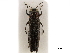 ( - BIOUG08555-H07)  @11 [ ] CreativeCommons - Attribution (2019) CBG Photography Group Centre for Biodiversity Genomics