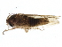  ( - BIOUG09137-C02)  @12 [ ] CreativeCommons - Attribution (2014) CBG Photography Group Centre for Biodiversity Genomics