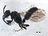  ( - BIOUG09349-A11)  @13 [ ] CreativeCommons - Attribution (2014) CBG Photography Group Centre for Biodiversity Genomics