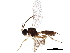 ( - BIOUG09635-E06)  @13 [ ] CreativeCommons - Attribution (2017) CBG Photography Group Centre for Biodiversity Genomics