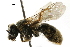  ( - BIOUG09808-B02)  @13 [ ] CreativeCommons - Attribution (2018) CBG Photography Group Centre for Biodiversity Genomics