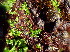  ( - CAN0075)  @11 [ ] CreativeCommons - Attribution Non-Commercial Share-Alike (2013) Unspecified Universidade de La Laguna
