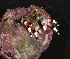  ( - MBIO2319.1)  @11 [ ] Unspecified (default): All Rights Reserved  Unspecified Unspecified
