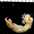 ( - MBIO2325.1)  @13 [ ] Unspecified (default): All Rights Reserved  Unspecified Unspecified