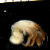  ( - MBIO2326.1)  @13 [ ] Unspecified (default): All Rights Reserved  Unspecified Unspecified