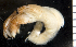  ( - MBIO2327.1)  @13 [ ] Unspecified (default): All Rights Reserved  Unspecified Unspecified