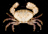  ( - MBIO2330.1)  @11 [ ] Unspecified (default): All Rights Reserved  Unspecified Unspecified