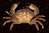  ( - MBIO2331.1)  @15 [ ] Unspecified (default): All Rights Reserved  Unspecified Unspecified