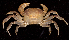  ( - MBIO2332.1)  @14 [ ] Unspecified (default): All Rights Reserved  Unspecified Unspecified