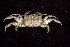  ( - MBIO2333.1)  @14 [ ] Unspecified (default): All Rights Reserved  Unspecified Unspecified