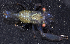  ( - MBIO2418.1)  @11 [ ] Unspecified (default): All Rights Reserved  Unspecified Unspecified