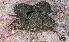  ( - MBIO2542.1)  @14 [ ] Unspecified (default): All Rights Reserved  Unspecified Unspecified