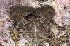  ( - MBIO2543.1)  @14 [ ] Unspecified (default): All Rights Reserved  Unspecified Unspecified