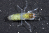  ( - MBIO2568.1)  @14 [ ] Unspecified (default): All Rights Reserved  Unspecified Unspecified