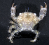 ( - MBIO2733.1)  @15 [ ] Unspecified (default): All Rights Reserved  Unspecified Unspecified