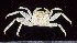  ( - MBIO2892.1)  @15 [ ] Unspecified (default): All Rights Reserved  Unspecified Unspecified