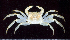  ( - MBIO2894.1)  @15 [ ] Unspecified (default): All Rights Reserved  Unspecified Unspecified