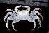  ( - MBIO2895.1)  @15 [ ] Unspecified (default): All Rights Reserved  Unspecified Unspecified