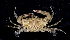  ( - MBIO2981.1)  @14 [ ] Unspecified (default): All Rights Reserved  Unspecified Unspecified