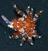  ( - MBIO3302.1)  @13 [ ] Unspecified (default): All Rights Reserved  Unspecified Unspecified