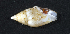  ( - MBIO3458.1)  @14 [ ] Unspecified (default): All Rights Reserved  Unspecified Unspecified