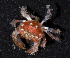  ( - MBIO3569.1)  @14 [ ] Unspecified (default): All Rights Reserved  Unspecified Unspecified