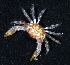  ( - MBIO3845.1)  @14 [ ] Unspecified (default): All Rights Reserved  Unspecified Unspecified