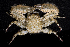  ( - MBIO3975.1)  @14 [ ] Unspecified (default): All Rights Reserved  Unspecified Unspecified
