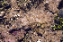  ( - MBIO2114.1)  @11 [ ] Unspecified (default): All Rights Reserved  Unspecified Unspecified